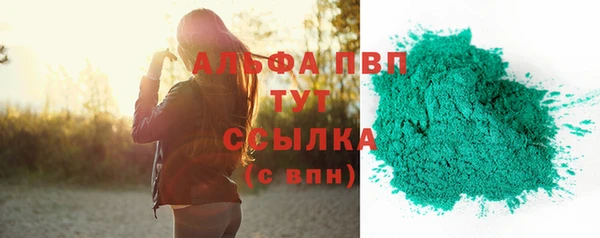 стаф Абинск