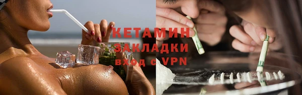прущие грибы Абаза
