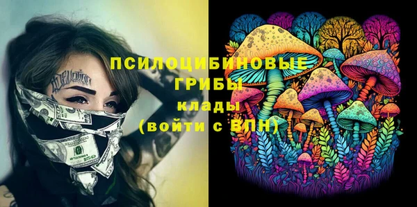 прущие грибы Абаза