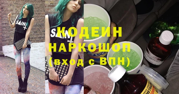 прущие грибы Абаза