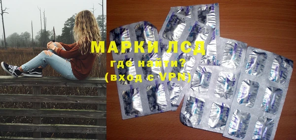 прущие грибы Абаза