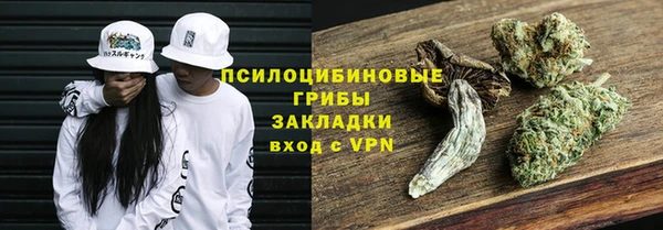 прущие грибы Абаза