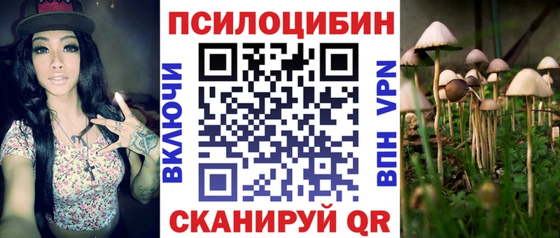 дарнет шоп  Ивангород  Галлюциногенные грибы MAGIC MUSHROOMS 